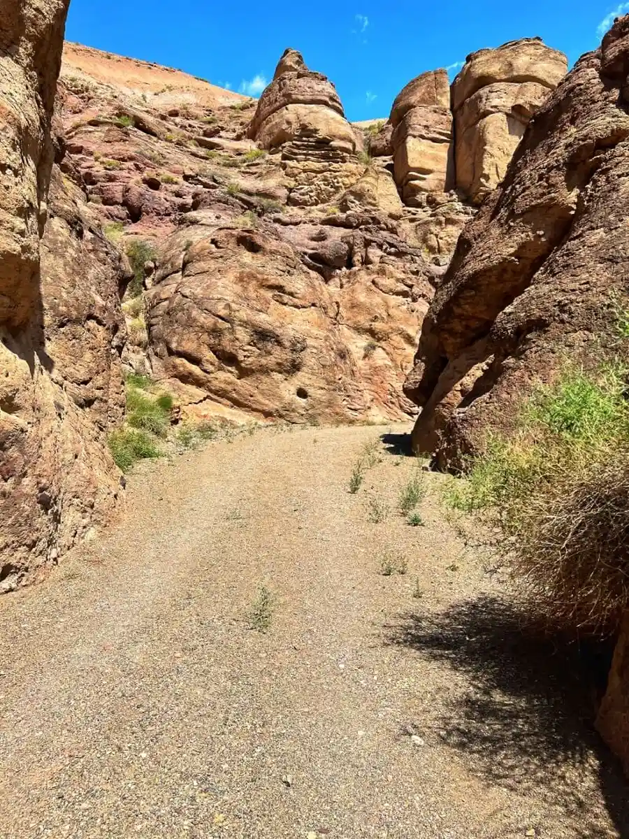 Wide gravel path leading through the narrow rock walls of Bestamak Canyon